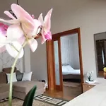 Pandora Guest House